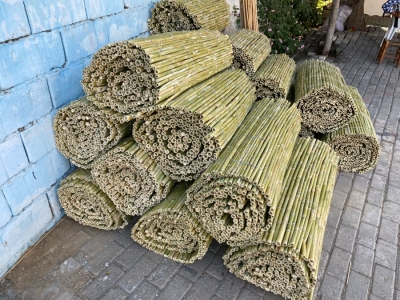 Hasır Çit