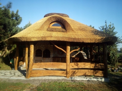 Hasır Kamelya Saz